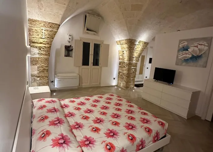 Xohouse 미사니아